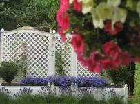 IMG_6525.webp