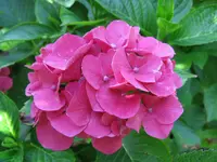 IMG_4363.webp