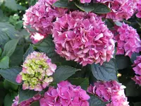 IMG_4364.webp