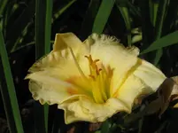 sil.woody james2_1067x800.webp