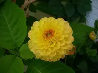 k-DSCI3721.webp