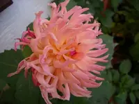 k-DSCI3727.webp