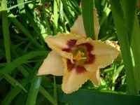 k-DSCI3729.webp