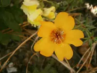 P8020986.webp
