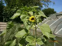 P8020985.webp