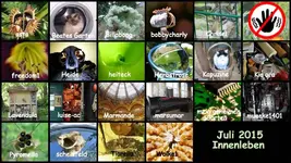 Copy of Copy of Juli 2015 Innenleben.webp