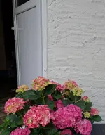 white (37).webp