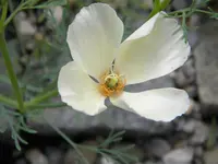 DSCN8780.webp