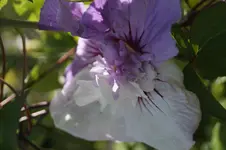 _DSC8922.webp