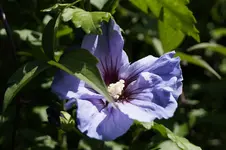 _DSC8946.webp