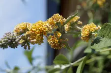_DSC8923.webp