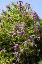 _DSC8903.webp