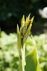 _DSC8917.webp