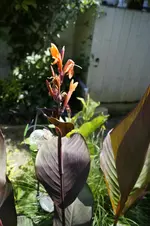 _DSC8915.webp