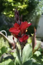 _DSC8912.webp