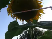20150803_200217.webp