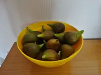 Feigen 001.webp