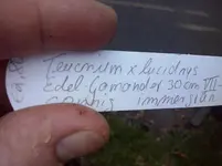 CAM00777.webp