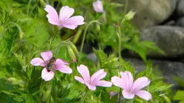 DSCN4827.webp