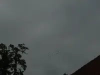 P1480169.webp