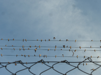 P1480614.webp