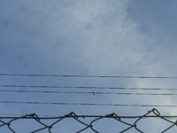 P1480616.webp