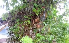 IMG_5665-001.webp