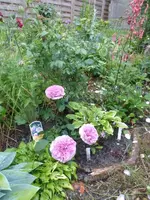 P1440624.webp P1440624.webp