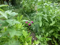 P1090103.webp P1090103.webp