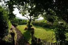 Gartenblick Richtung Osten.webp
