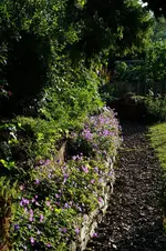 Rozannes.webp