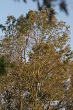 DSC08257.webp