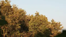 DSC08258.webp