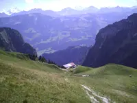 Alm am Mortetenpaß1.webp