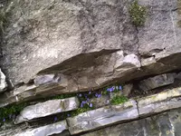 Steingarten4.webp