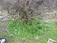 05.04.09 82.webp