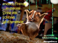 p6n0u1p5ra[2].webp