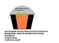 entwurf.webp