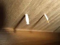 DSCF0146.webp