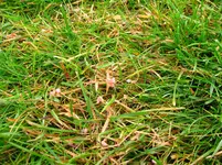 IMG_4957.webp