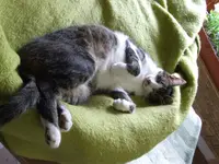 Bild 194.webp