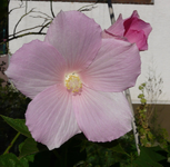 P1020009.webp