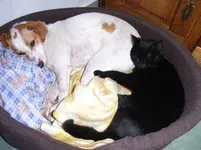 Pico&Emma_1.webp