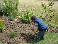 fleissiger Gartenzwerg 1.webp
