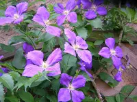 DSCN0969.webp