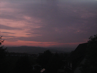 IMG_2053.webp