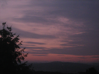 IMG_2054.webp