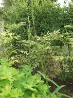 Kopie von CIMG4210.webp