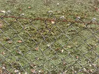 Kopie von CIMG4211.webp