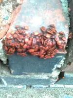 allerlei 07-09_2 001.webp